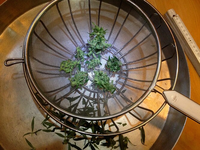 Growreport Bild 7