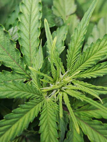 MVIMG_20251012_210513