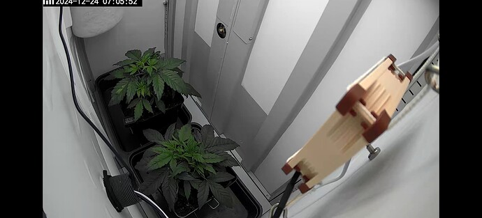 Screenshot_2024-12-24-07-05-04-06_89ed83f5c7ca8fa2c91fc75c50289338