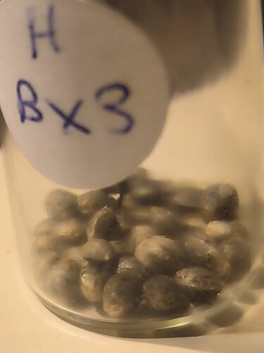 Growreport Bild 1