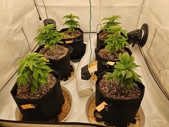 Growreport Bild 21