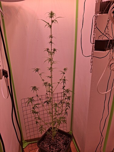 Growreport Bild 187