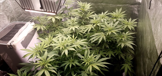Growreport Bild 4