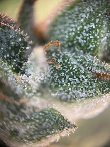 Growreport Bild 14