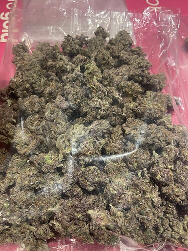 Growreport Bild 14