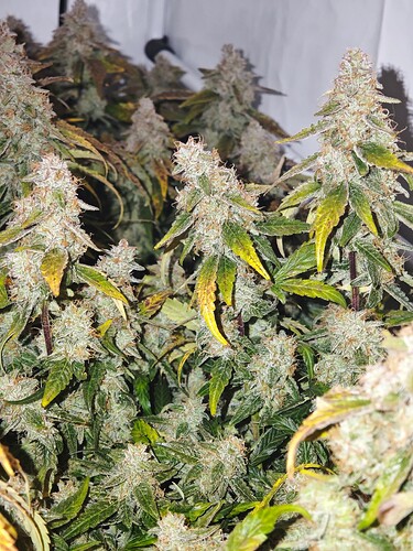 MVIMG_20251128_150441