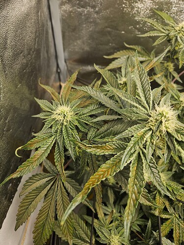 Growreport Bild 3