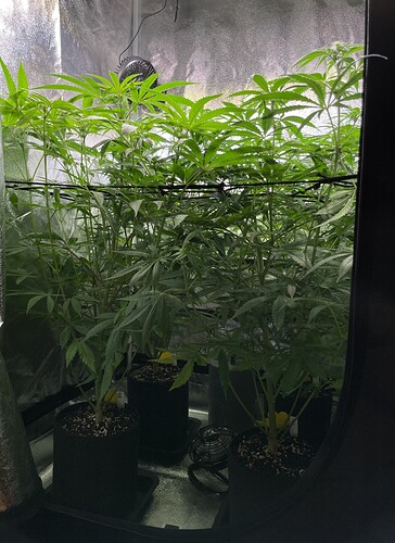 Growreport Bild 23