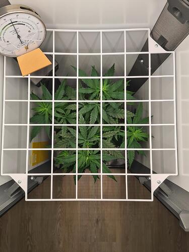 signal-2024-07-23-100856_003