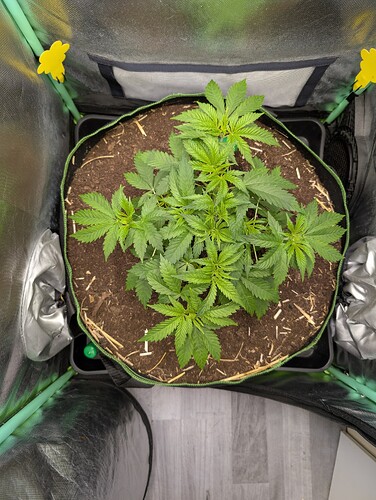 Growreport Bild 1