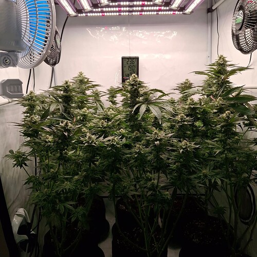 476282069_122167310270293599_813395829721653631_n