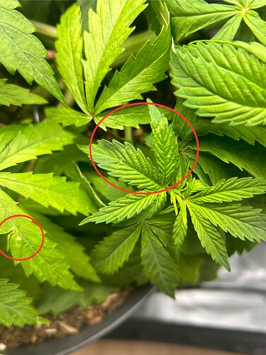 Growreport Bild 14