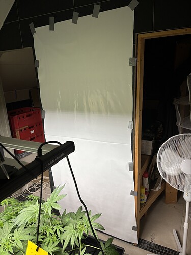 Growreport Bild 32
