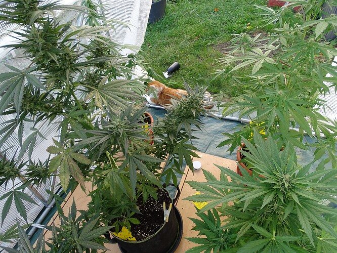 Growreport Bild 35