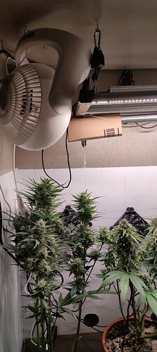 Growreport Bild 50