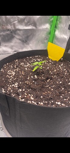 Growreport Bild 2