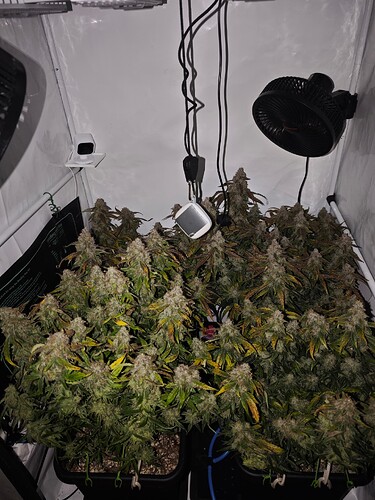 MVIMG_20251128_145733