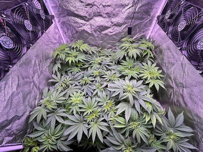 Growreport Bild 7