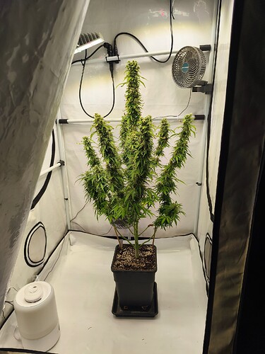 Growreport Bild 6