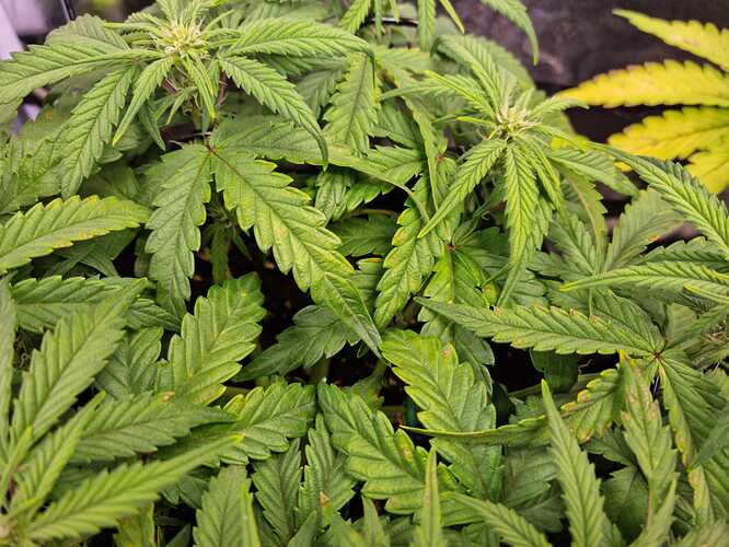 WhatsApp Bild 2024-06-23 um 18.58.00_d22ac8ef