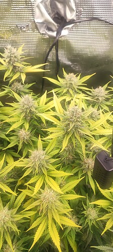 Growreport Bild 43