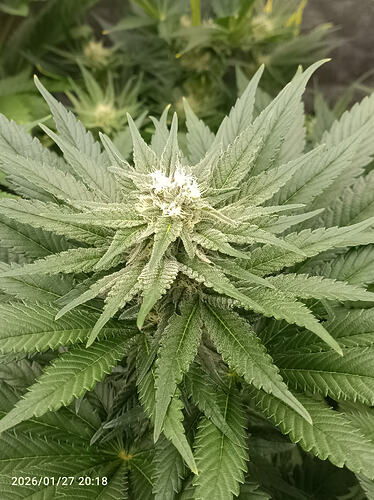 Growreport Bild 12