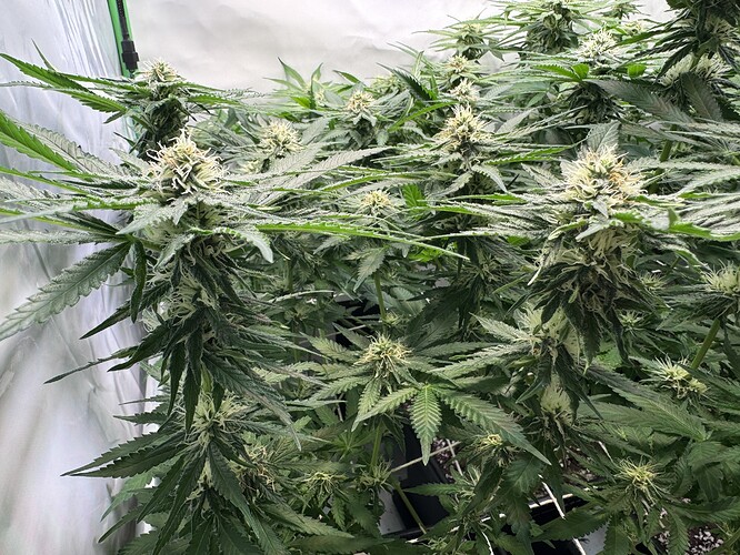 Growreport Bild 12