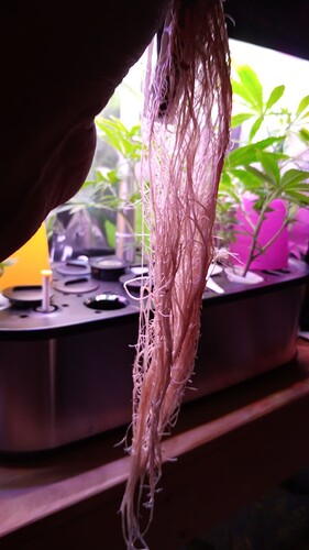 Growreport Bild 17