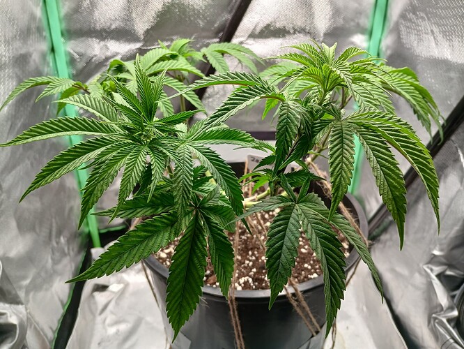 Growreport Bild 10