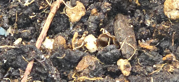 Growreport Bild 20
