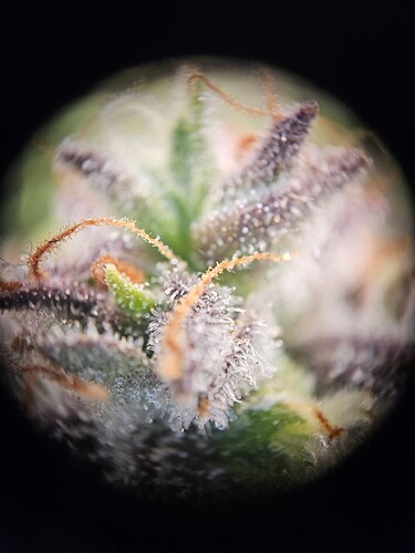 Growreport Bild 15