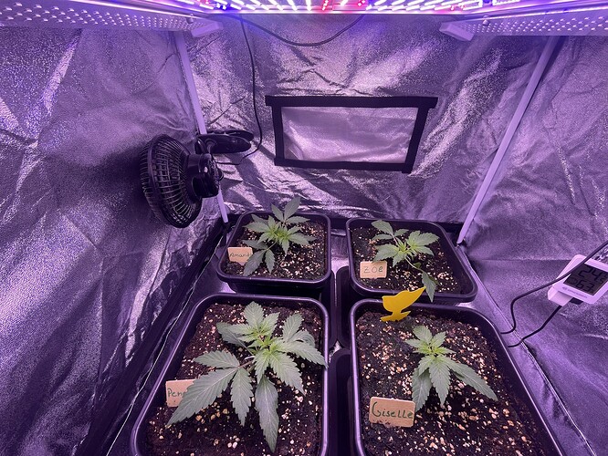 Growreport Bild 17