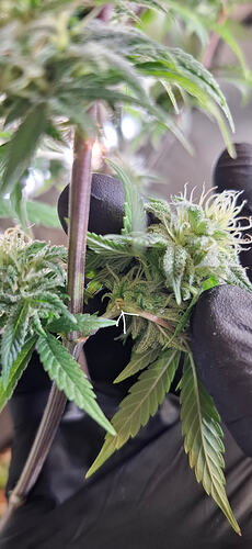 Growreport Bild 4
