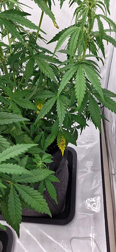 Growreport Bild 21