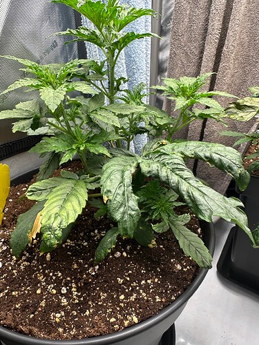 Growreport Bild 22
