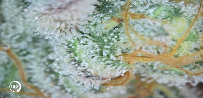 Growreport Bild 23