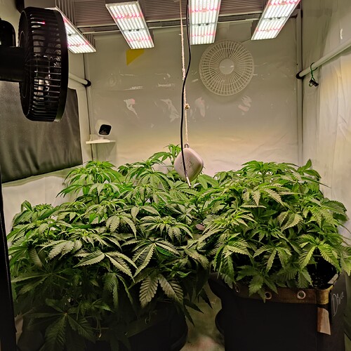 Growreport Bild 14