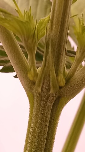 Growreport Bild 19