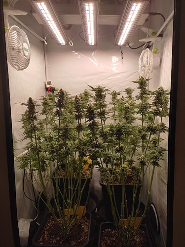 Growreport Bild 24