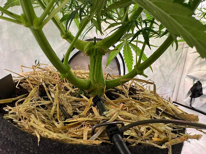 Growreport Bild 11