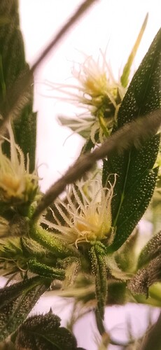 Growreport Bild 14