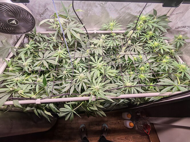 Growreport Bild 1