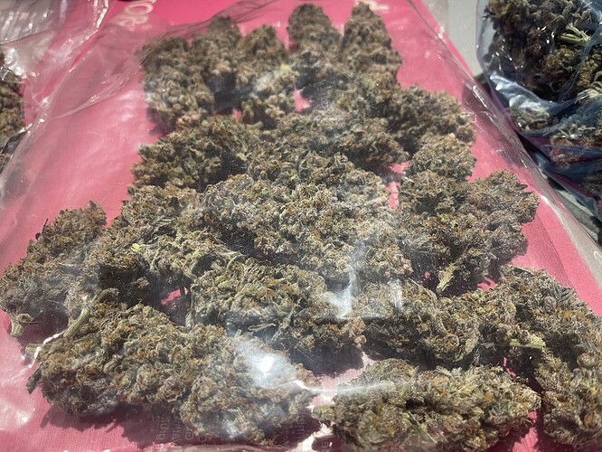 Growreport Bild 13