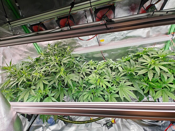 Growreport Bild 5