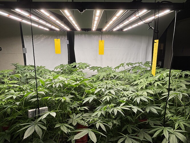 Growreport Bild 10
