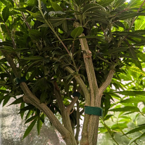 Growreport Bild 8