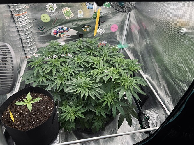 Growreport Bild 10