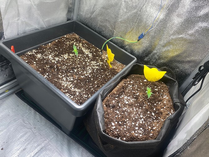 Growreport Bild 18