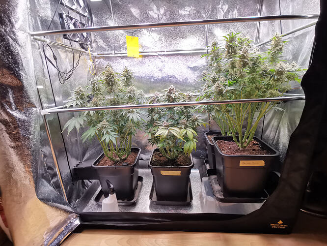 Growreport Bild 13