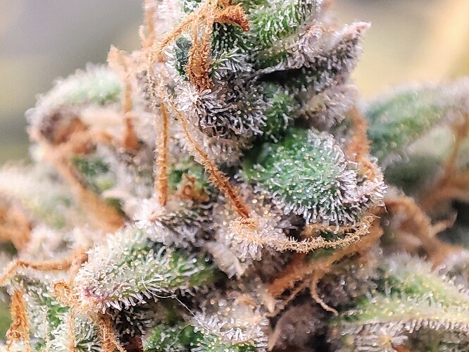 Growreport Bild 26